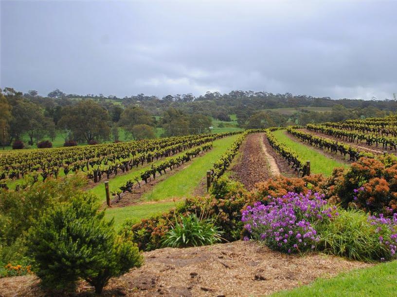 The Mill Apartments Clare Valley ภายนอก รูปภาพ